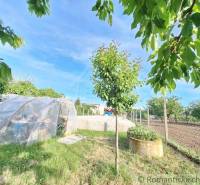 A garden with a greenhouse, trees, and a lawn under a blue sky.