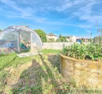 A greenhouse and a raised bed in a garden full of greenery and a gardening atmosphere.