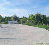 In the picture, there is a concrete area, trees, gardens, and a greenhouse in the background.