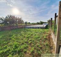 A view of a green meadow and a building surrounded by orchards.