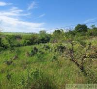 A grassy area with shrubs and a clear blue sky, ideal for a garden or relaxation.