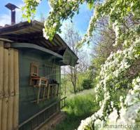A wooden cabin in the garden, surrounded by blooming trees and natural environment.