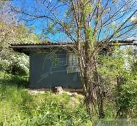 A wooden house surrounded by trees and lush greenery, suitable for gardens.
