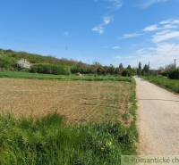 A landscape with a field near the road, trees, and gardens on the horizon under a blue sky.