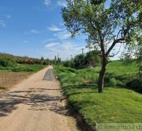 The country road leads through green gardens, lined with trees and a blue sky.