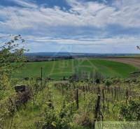 Beautiful panorama with vineyards and green fields, ideal for a winery and gardens.