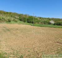 A large, grassy garden at the foot of a hill, surrounded by lush greenery.