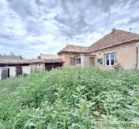 An old house surrounded by tall grass and a cottage in a rustic setting.