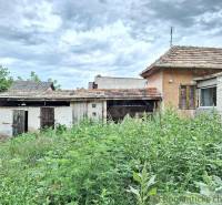 An old house surrounded by dense greenery and sky, ideal for a peaceful cottage.