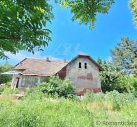 An older family house surrounded by green nature, tall trees, and a blue sky.