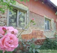 An old cottage with pink flowers in front of the windows, surrounded by greenery. A family house in nature.