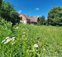 A family house is surrounded by nature with grass and flowers in sunny weather.