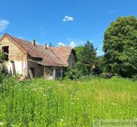 An older family house surrounded by nature, with a large garden and a blue sky.