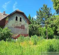 An old family house with a damaged facade, surrounded by dense greenery and trees.