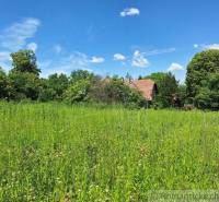 The image shows a lawn, a house surrounded by trees, and a blue sky, with a family house in the background.