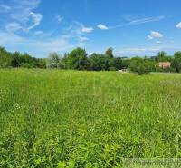 A green meadow at the end of which a family house surrounded by trees can be seen.