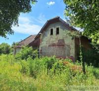 The old cottage stands in an overgrown garden, surrounded by trees and lush vegetation.