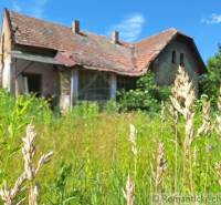 An old family house in an overgrown garden with wild grass and a blue sky.