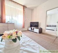 Living room of a family house: a television, flowers, and a dresser create a cozy atmosphere.