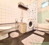 Bathroom in a family house with a washing machine, shower curtain, and toilet on a dark floor.