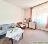 Living room of a family house, sofa, armchair, flowers, curtains, light decorations.