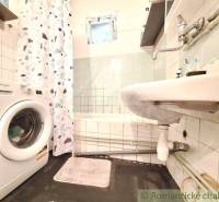A bathroom in a family house with a bathtub, a washing machine, and a sink, decorative tiles on the wall.