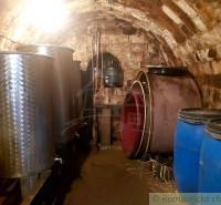 A wine cellar with barrels and containers, special properties with a brick vault and light.
