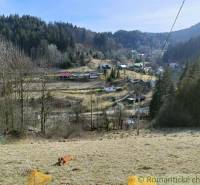 The picture shows a picturesque village, a forest, and a dog resting in a meadow, ideal for romantic cottages.