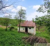 A family house with a metal roof, surrounded by nature and greenery on the property.