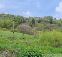 A meadow with an electric pole and a family house on a slope, surrounded by nature.