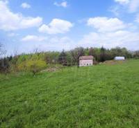 A green meadow with a family house, blue sky and clouds, surrounded by nature and trees.