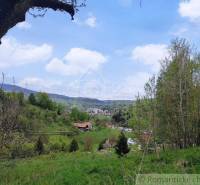 Green landscape, trees, hills, family house, village, nature, beautiful view, peaceful day.