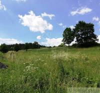 A meadow with tall grass, trees, and clouds on the horizon, ideal for gardens.