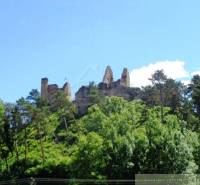 A historical castle ruin surrounded by trees in a picturesque setting, perfect for gardens.