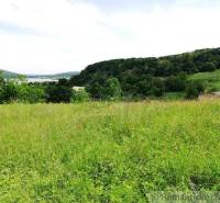 A landscape with a forest, meadow, and a visible lake in the distance. Gardens offer natural beauty.