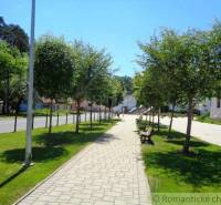 A path lined with trees and benches leads to a corner of the garden near the houses.