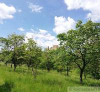 A green orchard, a castle in the background, a beautiful day in Slovak gardens.