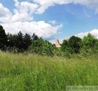 Ruins of a castle in a meadow surrounded by trees and gardens under a blue sky with clouds.