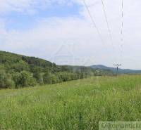 A meadow with power lines, hills on the horizon, a peaceful landscape, an ideal plot for a family house.