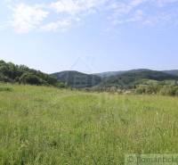 A vast meadow surrounded by hills, an ideal space for a family house in nature.