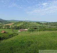 Hilly landscape with meadows and family houses, peaceful environment, nature, and yard.