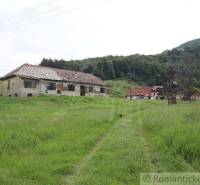 Abandoned family house in green nature, rural landscape, outdated building.