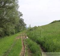 A landscape with a green meadow, mud, and trees, an ideal location for a family house.