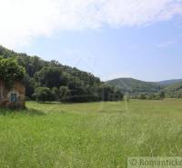 An old building overgrown with plants, nature, meadow and hills in the background, family house.
