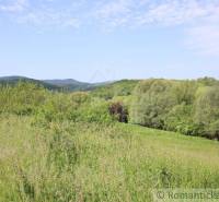 A country full of greenery, valleys, and mountains offers an ideal place for a family home.