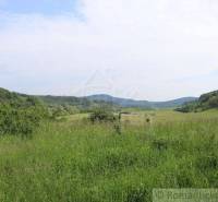 A green landscape with a meadow, surrounded by forest and hills, ideal for a family house.