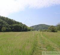 A green meadow surrounded by forests and countryside, ideal for a family house.