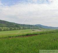 A green meadow in a mountain landscape with a blue sky, surrounded by peaceful nature and a family house.