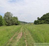 A dirt road leads to a family house, surrounded by greenery and nature.