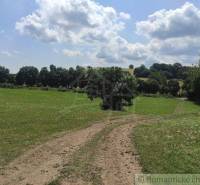 Countryside with a dirt road surrounded by grass and trees. Land, living in nature.